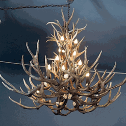Peak tall spruce mule deer antler chandelier 18 light 69