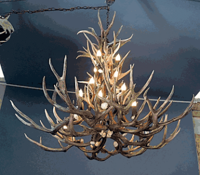 peak tall spruce mule deer antler chandelier 18 light 69
