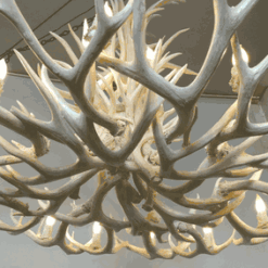 Peak tall spruce mule deer antler chandelier 18 light 75