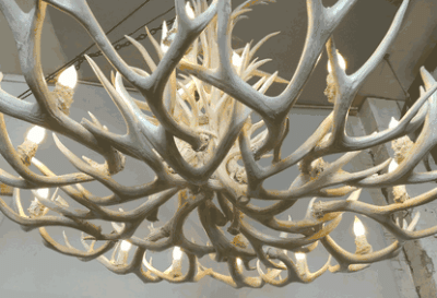 peak tall spruce mule deer antler chandelier 18 light 75