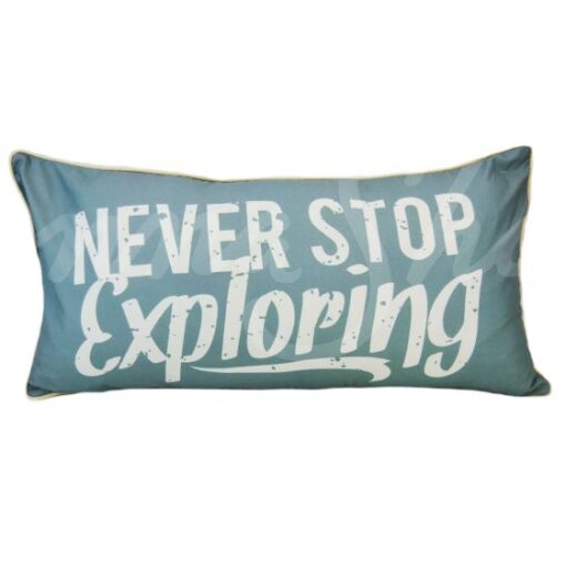 Bear totem (exploring) dec pillow