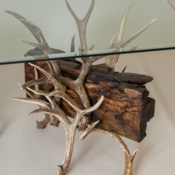 20170531 peakantlers 0107