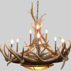 Antler Lighting & Decor