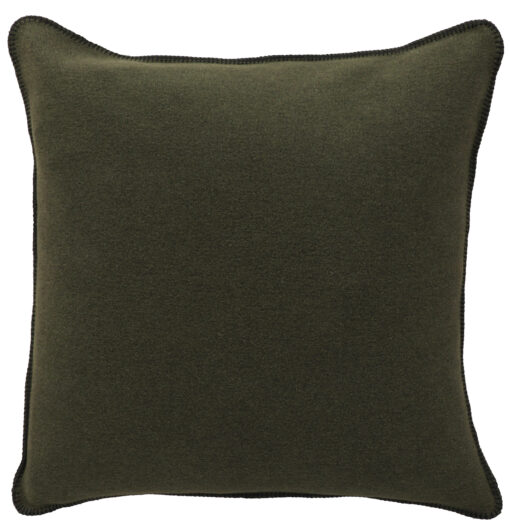 Solid sage euro sham