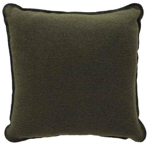 Solid sage pillow - 20x20