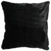 Black Bear Euro Sham