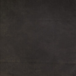 Grade 10: billy the kid-04