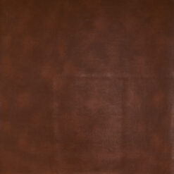 Grade 10: canteen-02