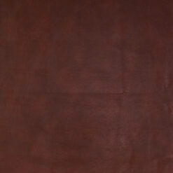 Grade 10: canteen-06