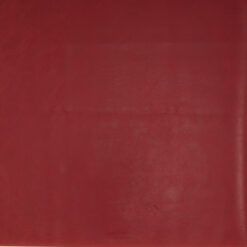 Grade 10: rio bravo-01