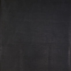 Grade 10: rio bravo-03