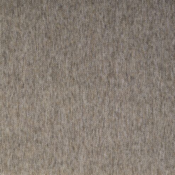 Grade 10: stardust-01