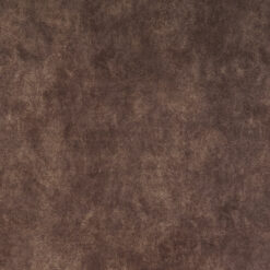 Grade 10: steamboat-01