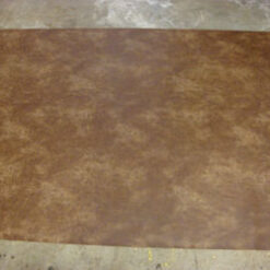 Alternative view of grade 10: billy the kid-01